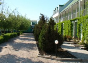 алея вдоль корпуса Елены