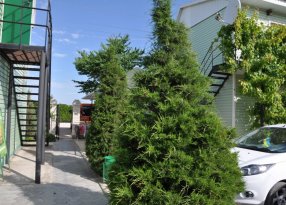 зеленая территория Елены