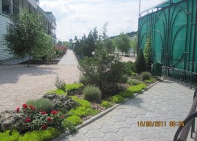 алея на б.о.Елена