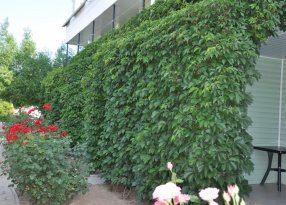 Входы в номера люкс