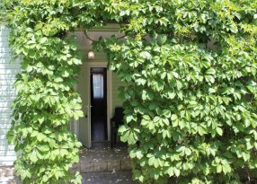 холл в люксе