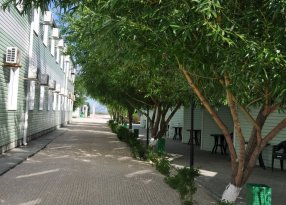 аллея у коттеджей базы Елена