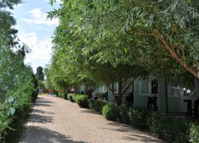 ряд коттеджей на базе отдыха елена