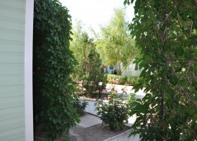 вид из номера в Кирилловке