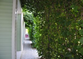 входы в плюксы на 1 этаже корпуса Елены