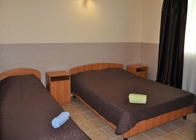 полулюкс 2-х комнатный Елена