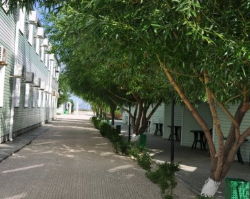 столовая базы Елена