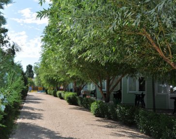 веранда номера люкс на Елене