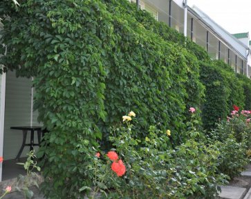 кафе столовая. Кирилловка