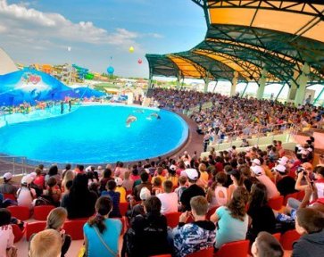 дельфинарий Оскар в Кирилловке