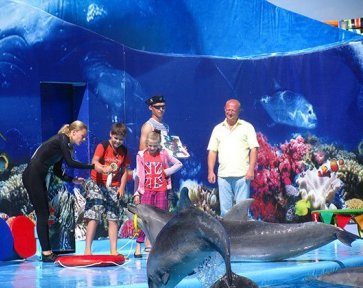 представление в дельфинарии