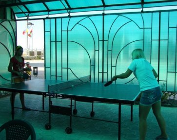 настольный теннис на бо "Елена"